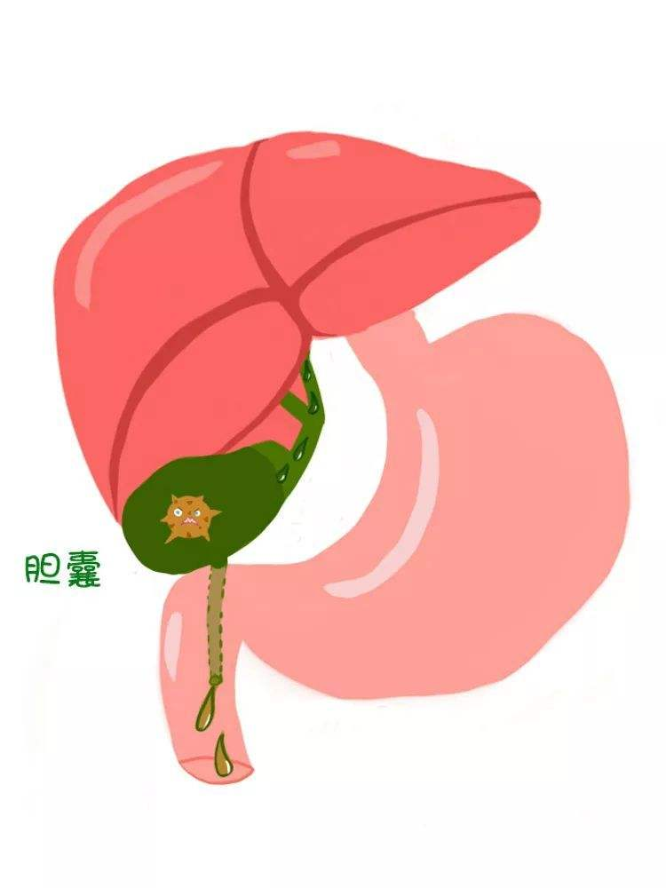 重庆市治疗胆囊癌比较好的中医馆