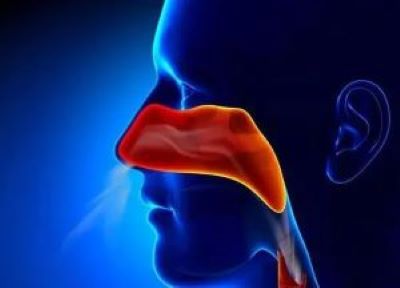 重庆御和堂中医肿瘤专家石毓斌:鼻炎久治不愈很大几率导致鼻咽癌的发生